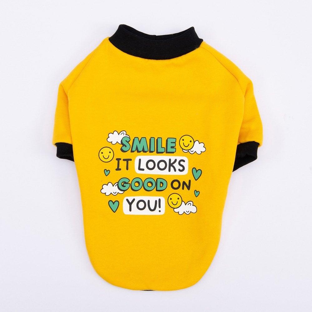 PawStar Sarı Loviisa Sweat Küçük ve Orta Irk