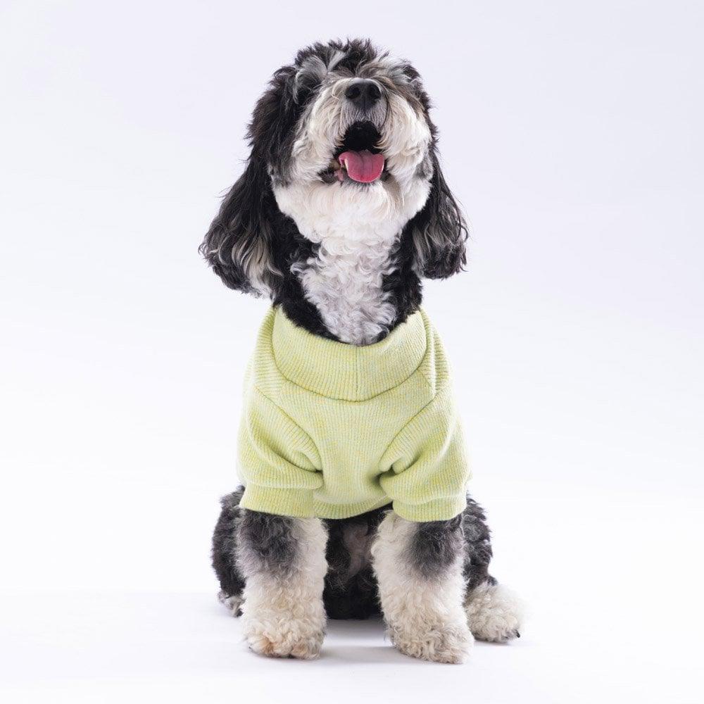 PawStar Sarı Merino Sweat Küçük ve Orta Irk