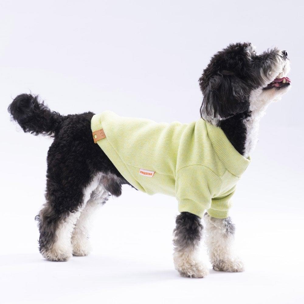PawStar Sarı Merino Sweat Küçük ve Orta Irk
