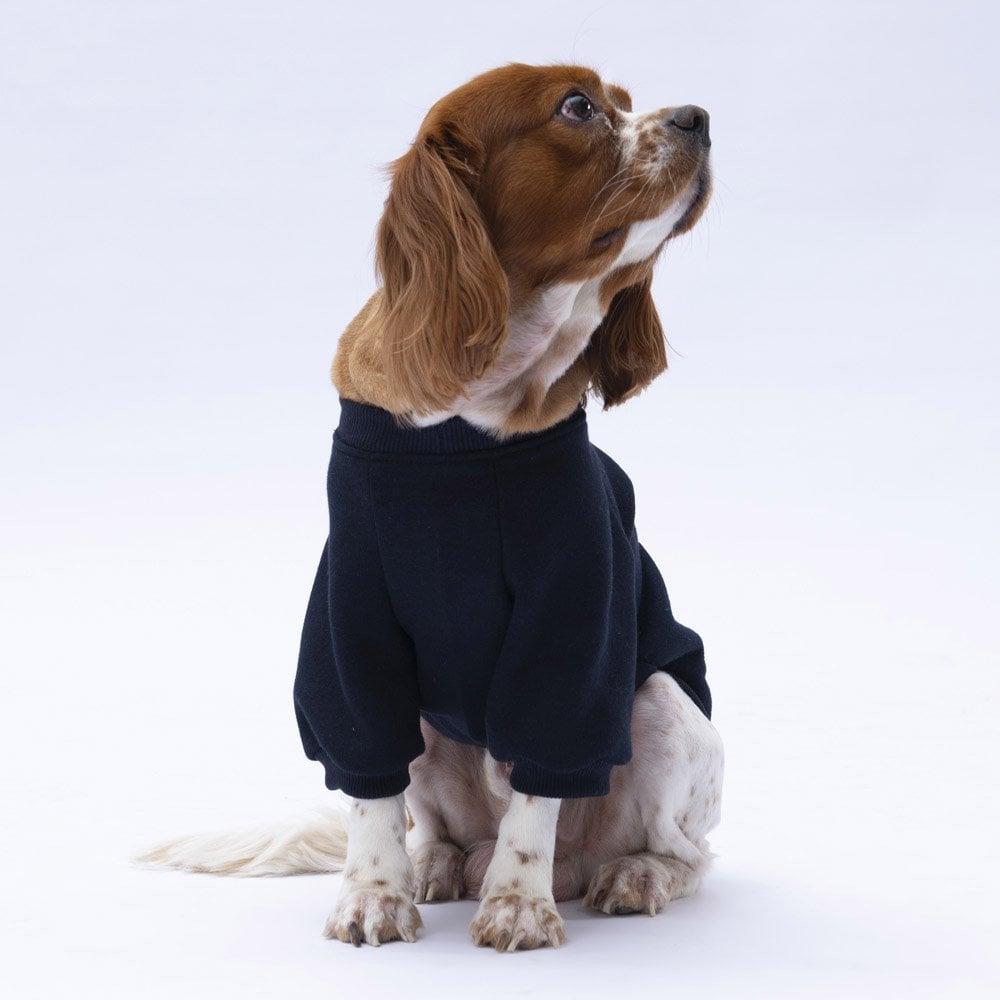 PawStar Siyah Chogqing Sweat Küçük ve Orta Irk