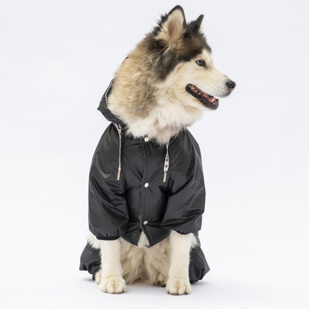 PawStar Siyah Muson Büyük Irk Yağmurluk