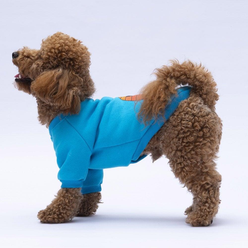 PawStar Turkuaz Carmel Sweat Küçük ve Orta Irk
