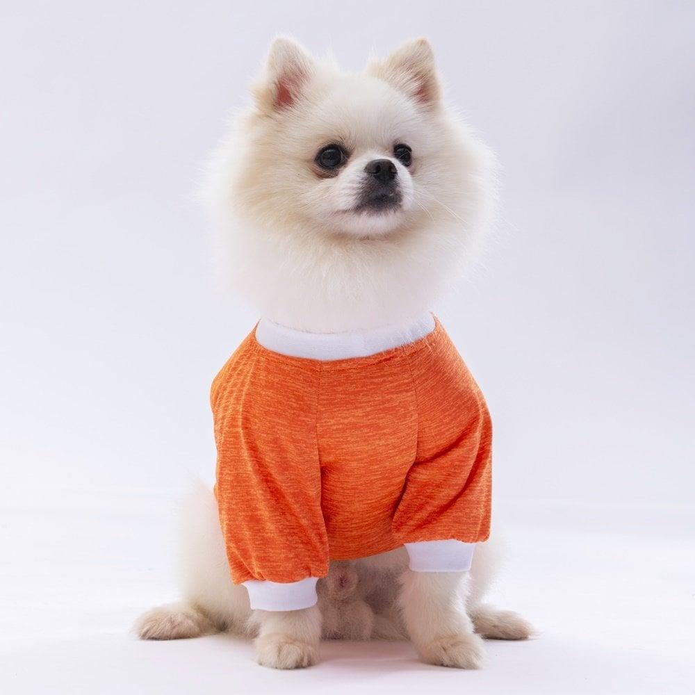 PawStar Turuncu Dude Küçük Irk Sweat
