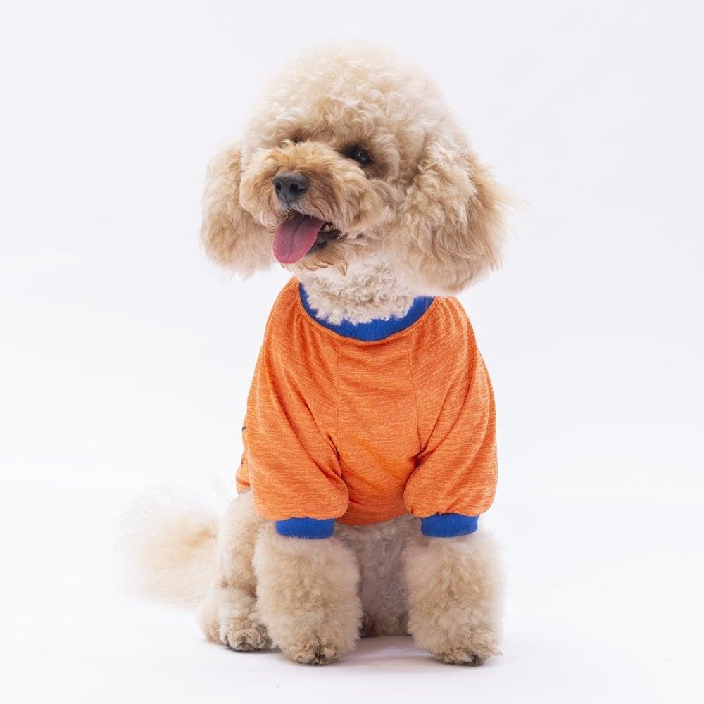 PawStar Turuncu Everything Will Be Okay Küçük Irk Sweat