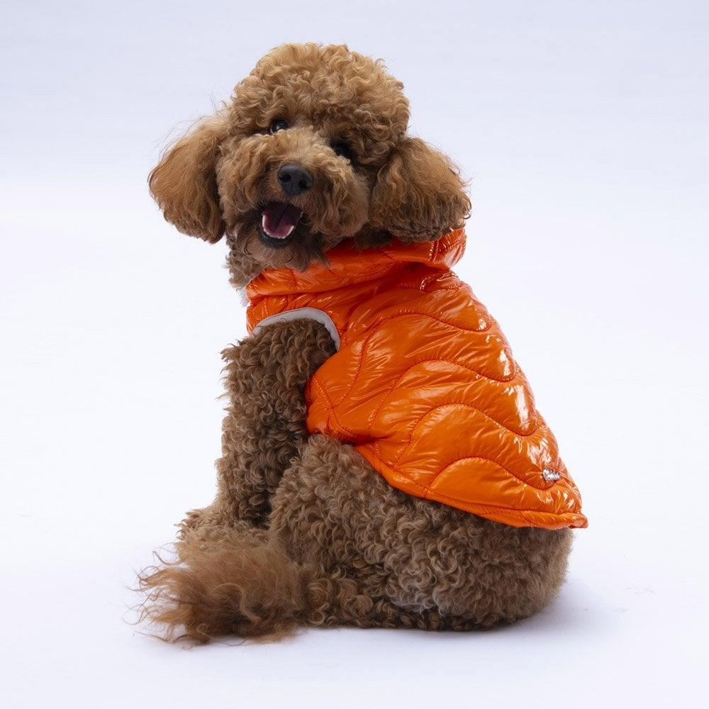 PawStar Turuncu Light Wave Yelek Küçük ve Orta Irk