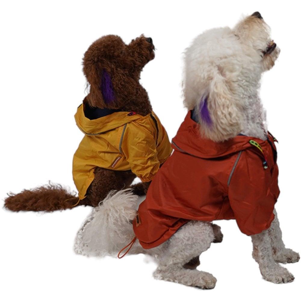 PawStar Turuncu Pluvia Küçük ve Orta Irk Yağmurluk