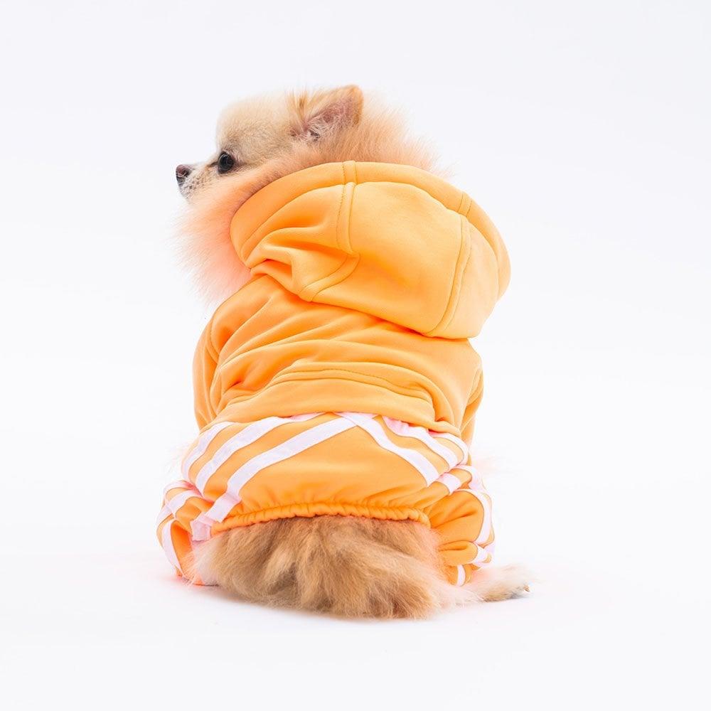 PawStar Turuncu Tuta Tulum Küçük ve Orta Irk