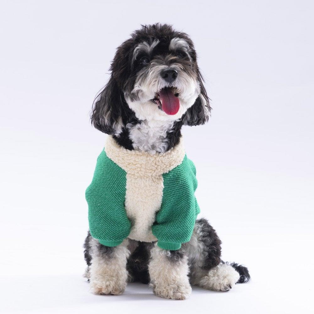 PawStar Yeşil Alaska Sweat Küçük ve Orta Irk