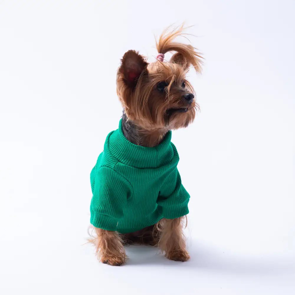 PawStar Yeşil Avocado Kaşkorse Sweat