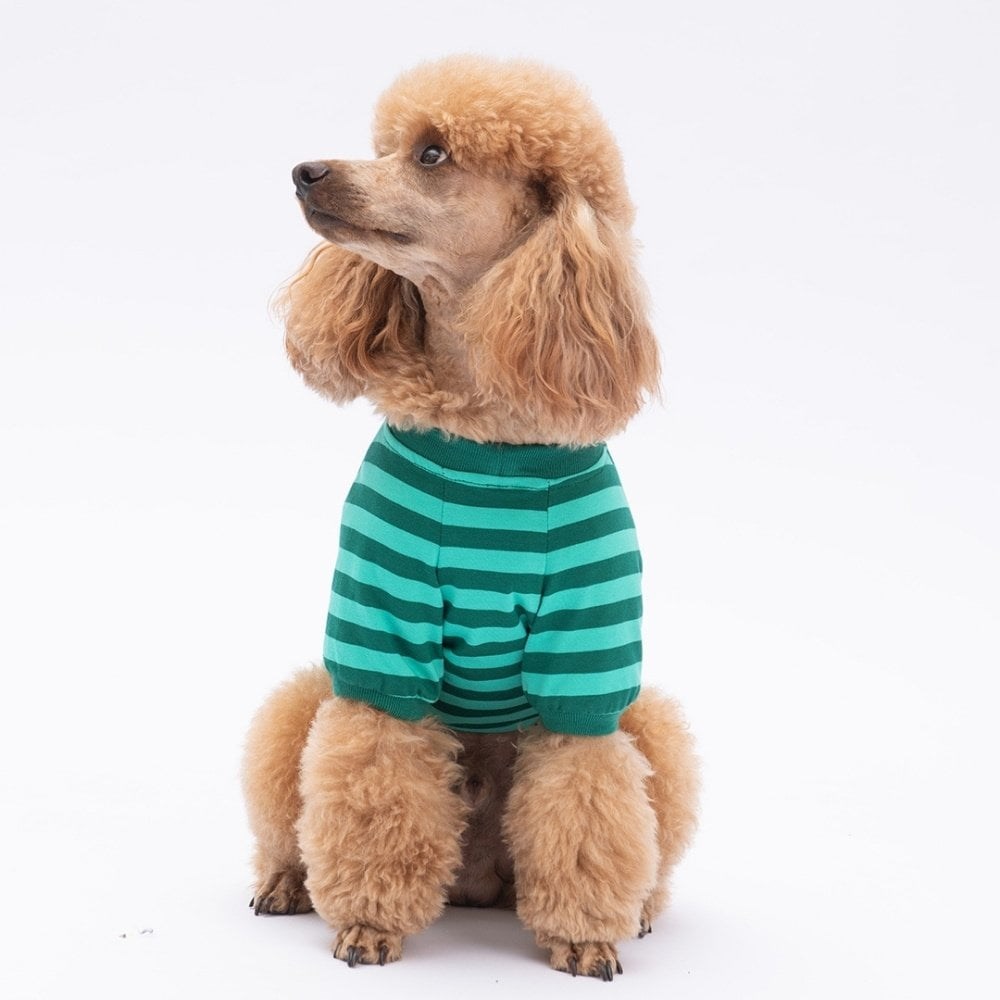 PawStar Yeşil Tigger Küçük Irk Sweat