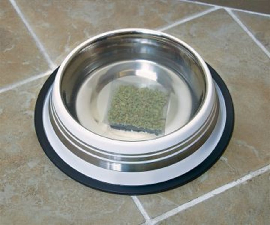 Pet Safe Lawn Protector Çim Koruyucu Su Topları- 2'li paket