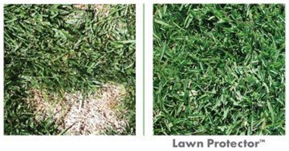 Pet Safe Lawn Protector Çim Koruyucu Su Topları- 2'li paket