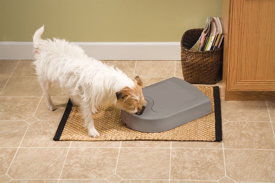 Petsafe 5 Öğünlük Otomatik Kedi veya Köpek Mama Kabı