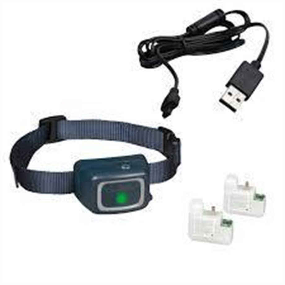 PetSafe Basic Spreyli Eğitim Tasması