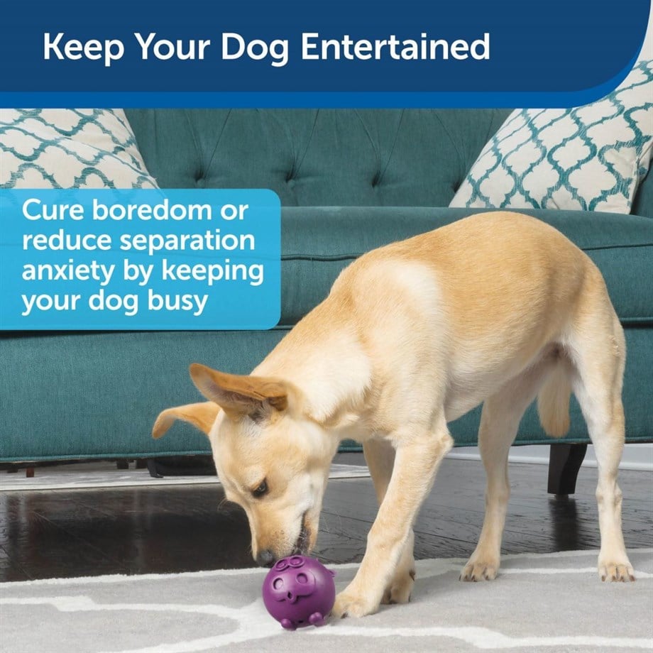 PetSafe Busy Buddy İnek Zıplayan Oyuncak M/L