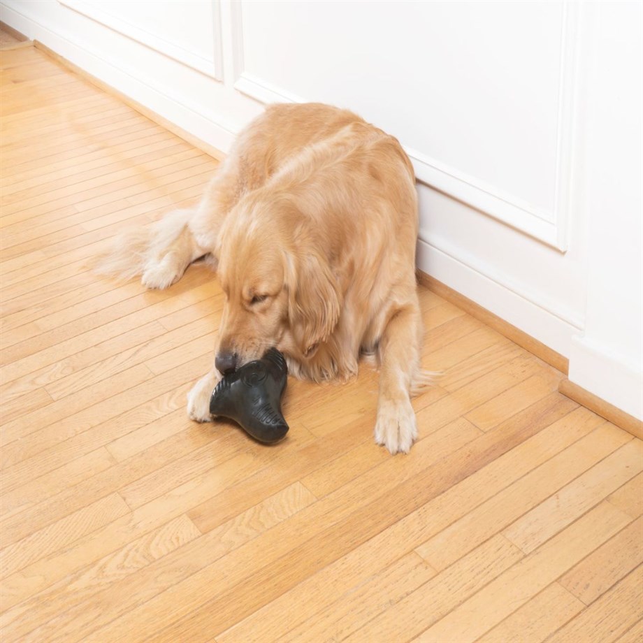 PetSafe Busy Buddy Ninja Sesli Oyuncak S