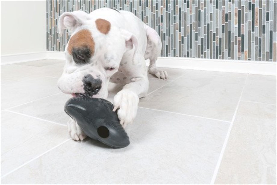 PetSafe Busy Buddy Ninja Sesli Oyuncak M