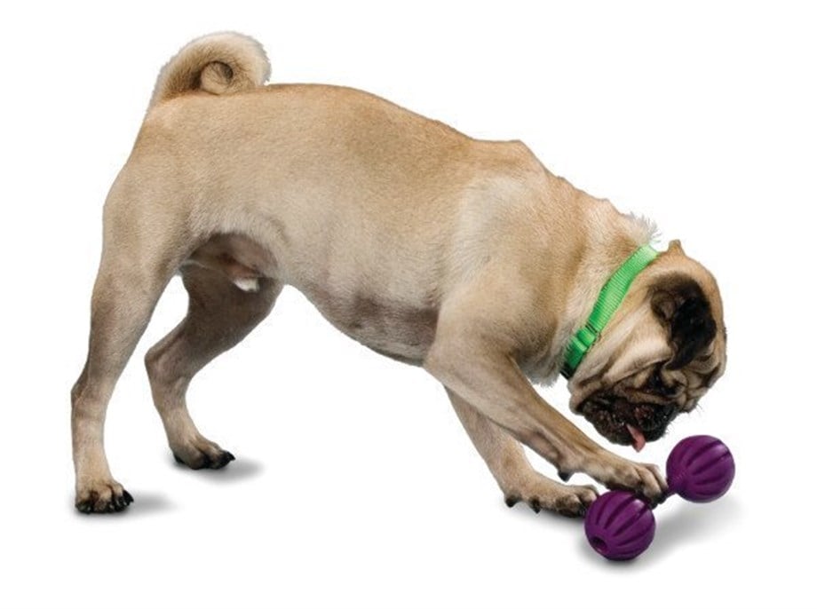 PetSafe Busy Buddy Waggle Salla Ye Oyuncak S