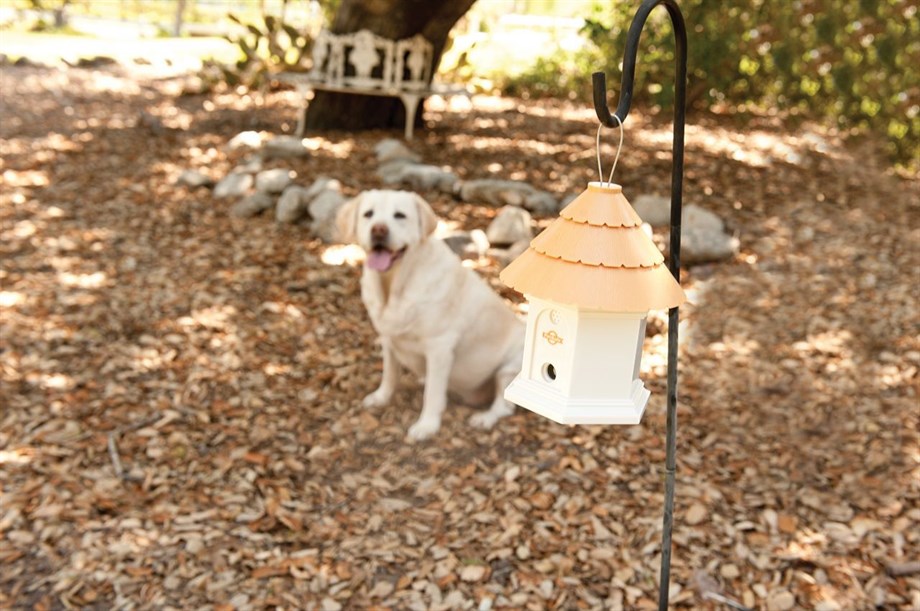 PetSafe DELUXE Dış Mekan Köpek Havlama Önleyici