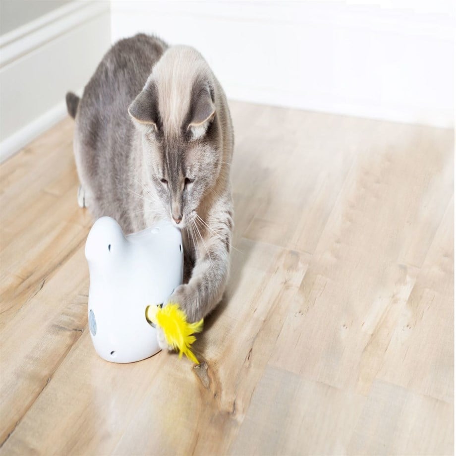 PetSafe Frolicat Kuş Interaktif Kedi Oyuncağı
