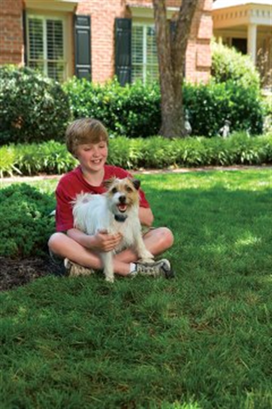 PetSafe Küçük Köpek Spreyli Eğitim Tasma