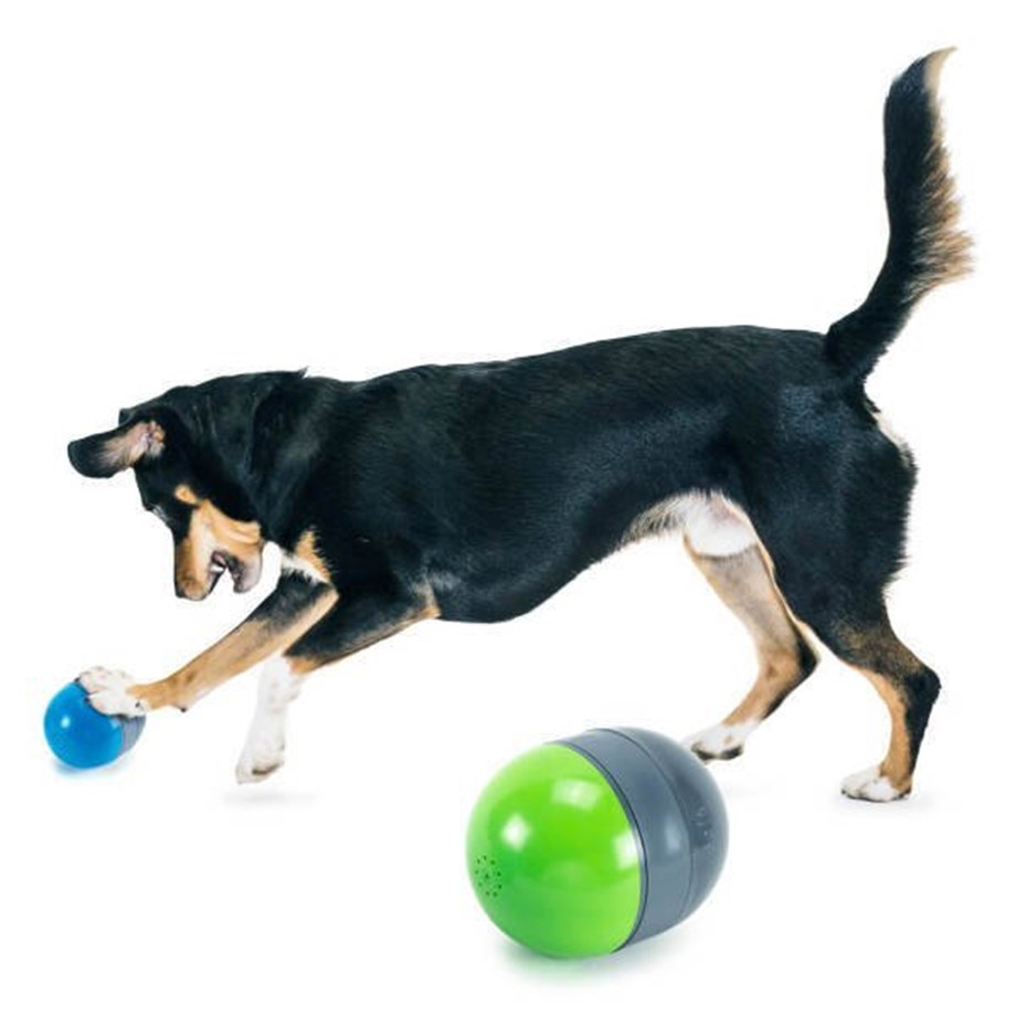 PetSafe Ricochet Sekmeli Elektronik Köpek Oyuncağı