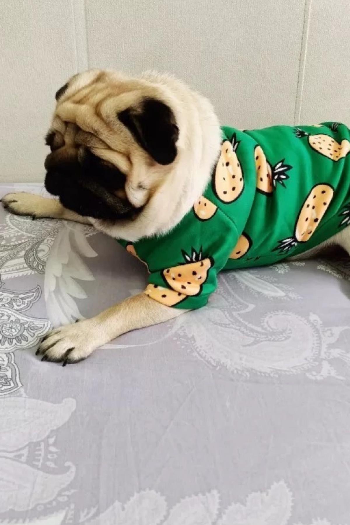 pineapple-kopek-sweatshirt-b382ff.jpg