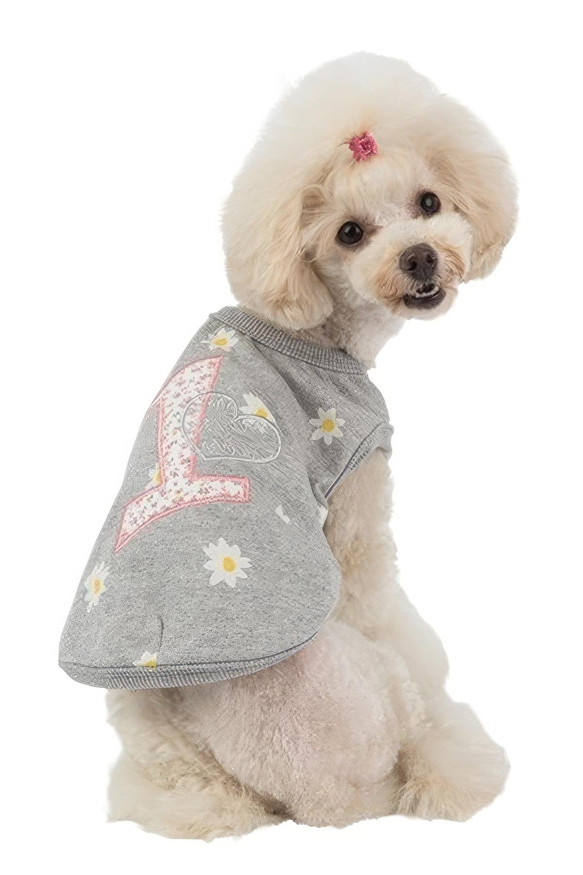 Pinkaholic Amias Köpek T-shirt Gri