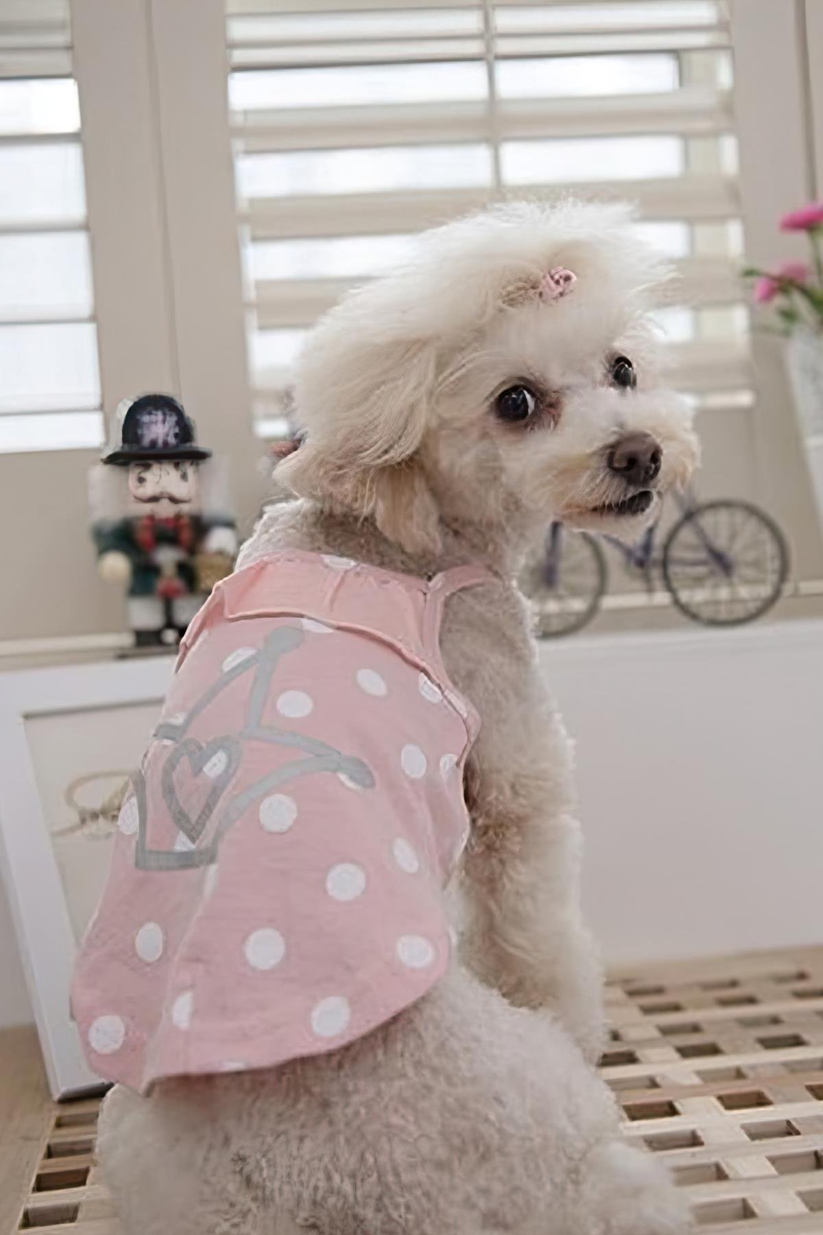 Pinkaholic Sassa Köpek T-Shirt Pembe