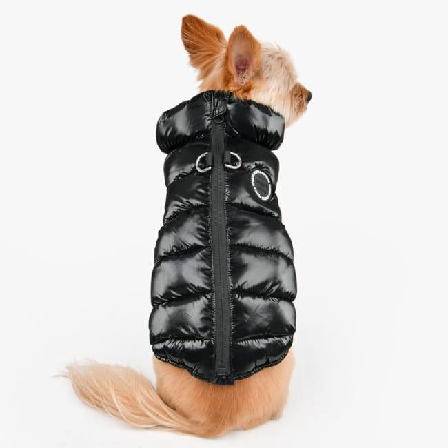 Puppia Glossy Vest Jumper Köpek Tasmalı Mont Siyah