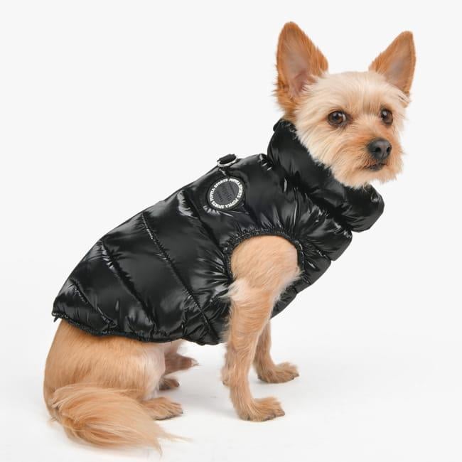 Puppia Glossy Vest Jumper Köpek Tasmalı Mont Siyah