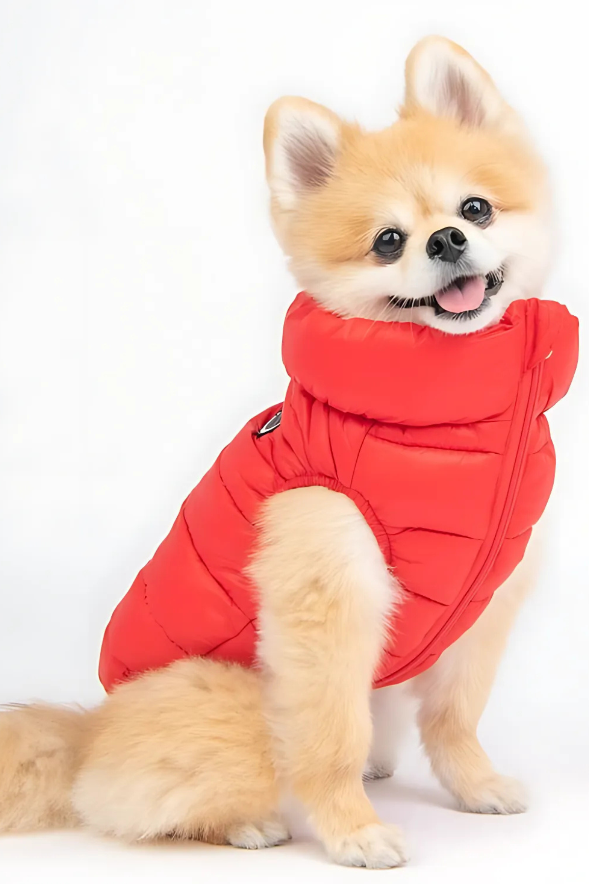 Puppia Puffer Yelek Kırmızı