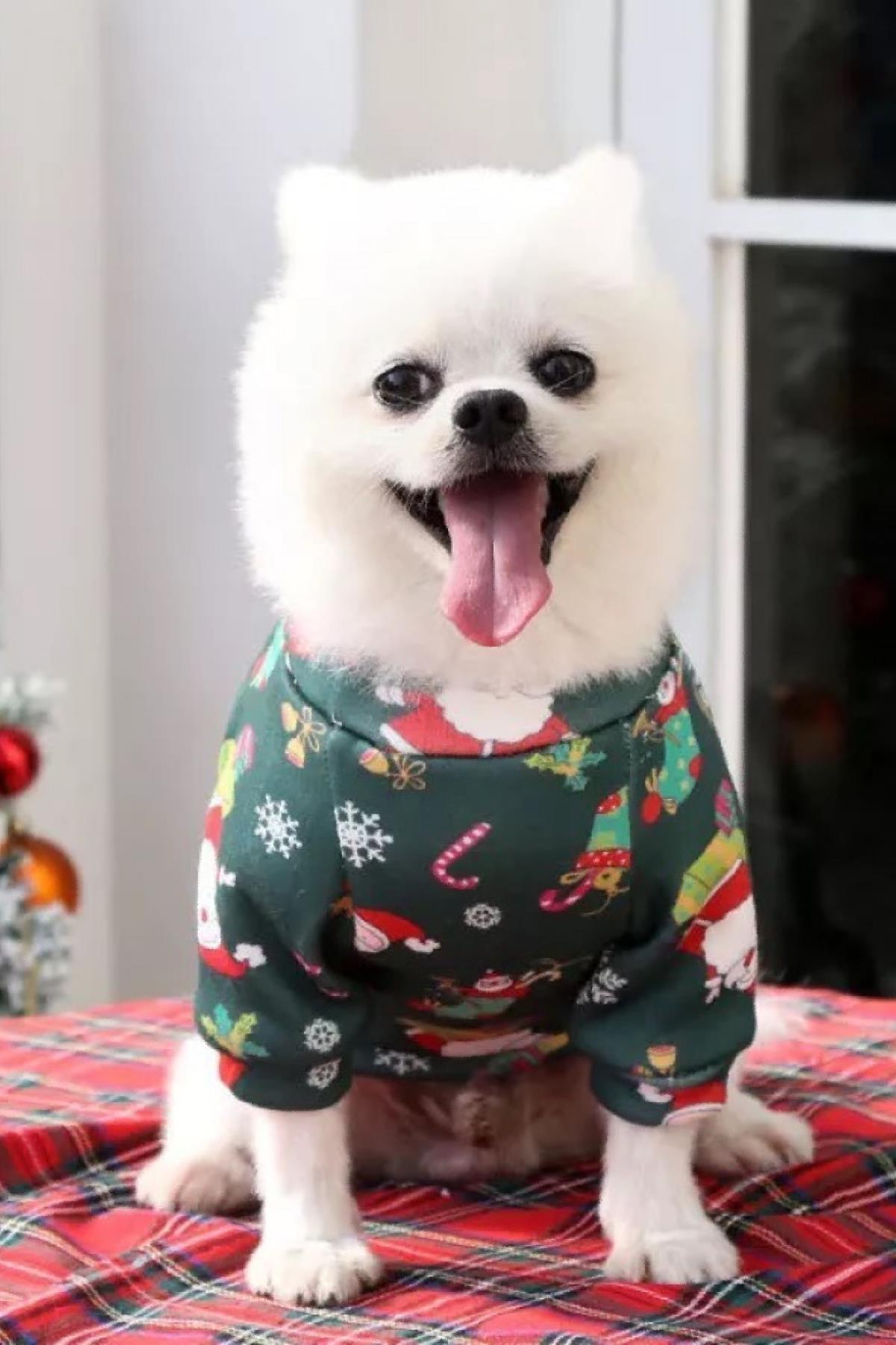 santa-kopek-sweatshirt--4962-.jpg