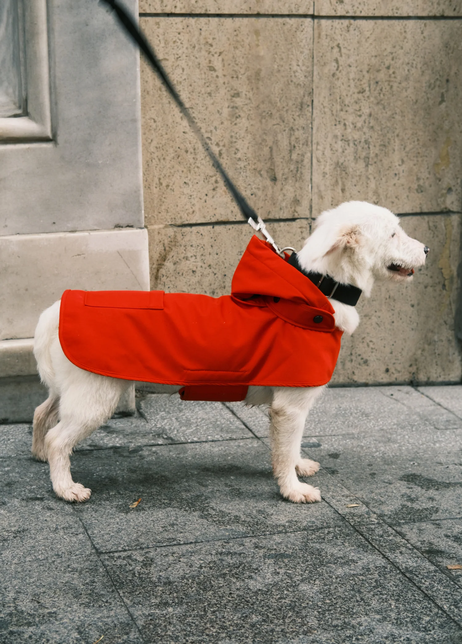 St. Pia Pluvio Raincoat Red Köpek Yağmurluk