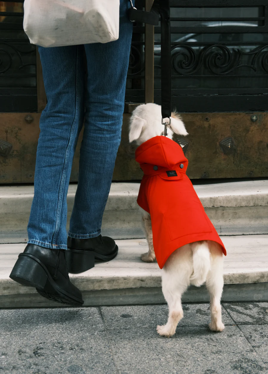 St. Pia Pluvio Raincoat Red Köpek Yağmurluk