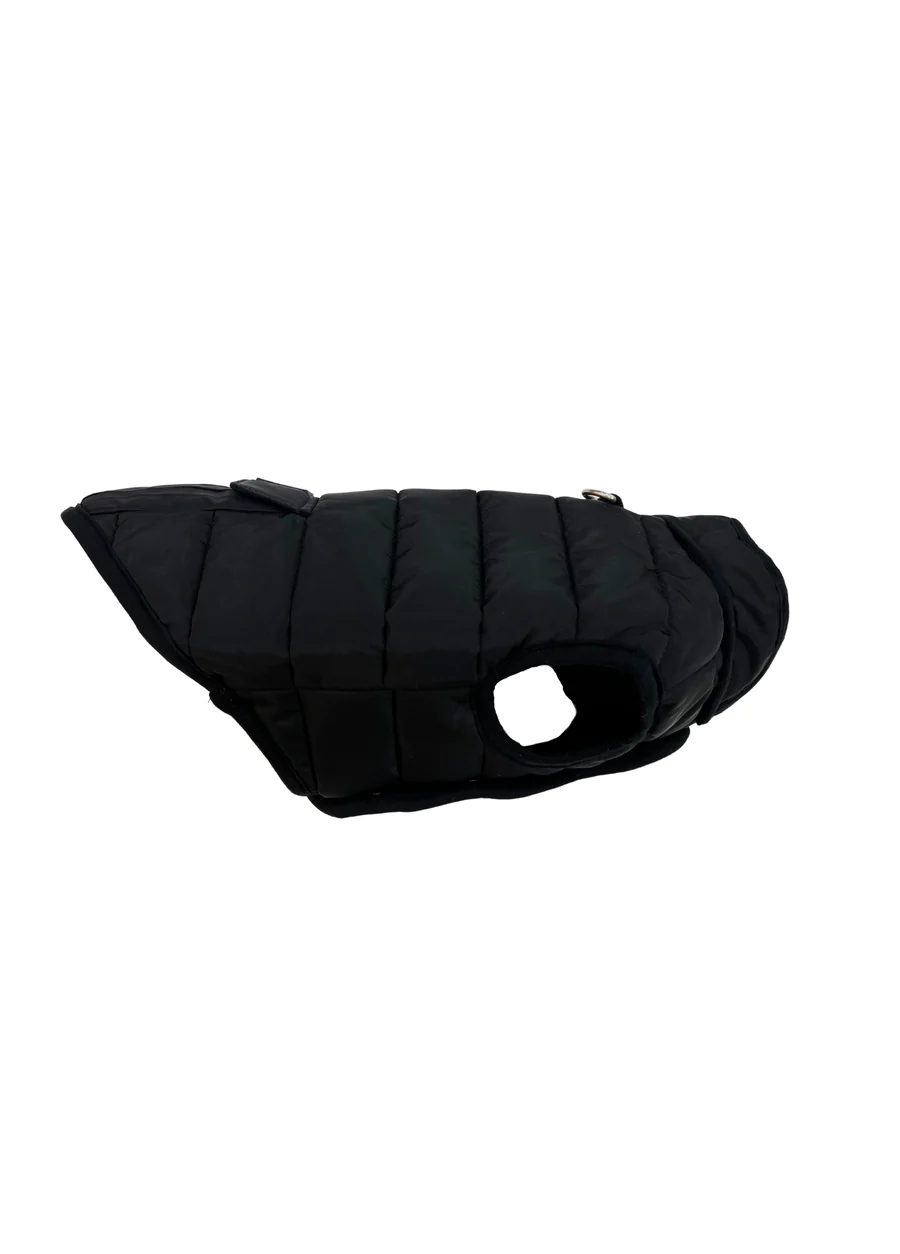 St. Pia Hive Köpek Mont