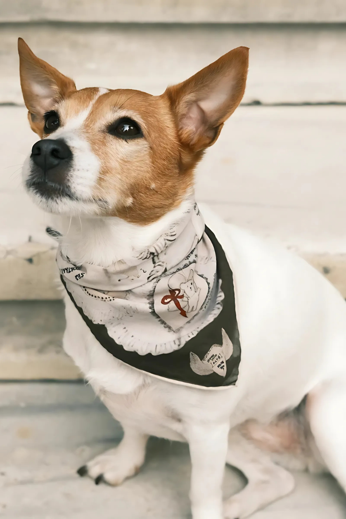 St. Pia Ruff Köpek Bandana 