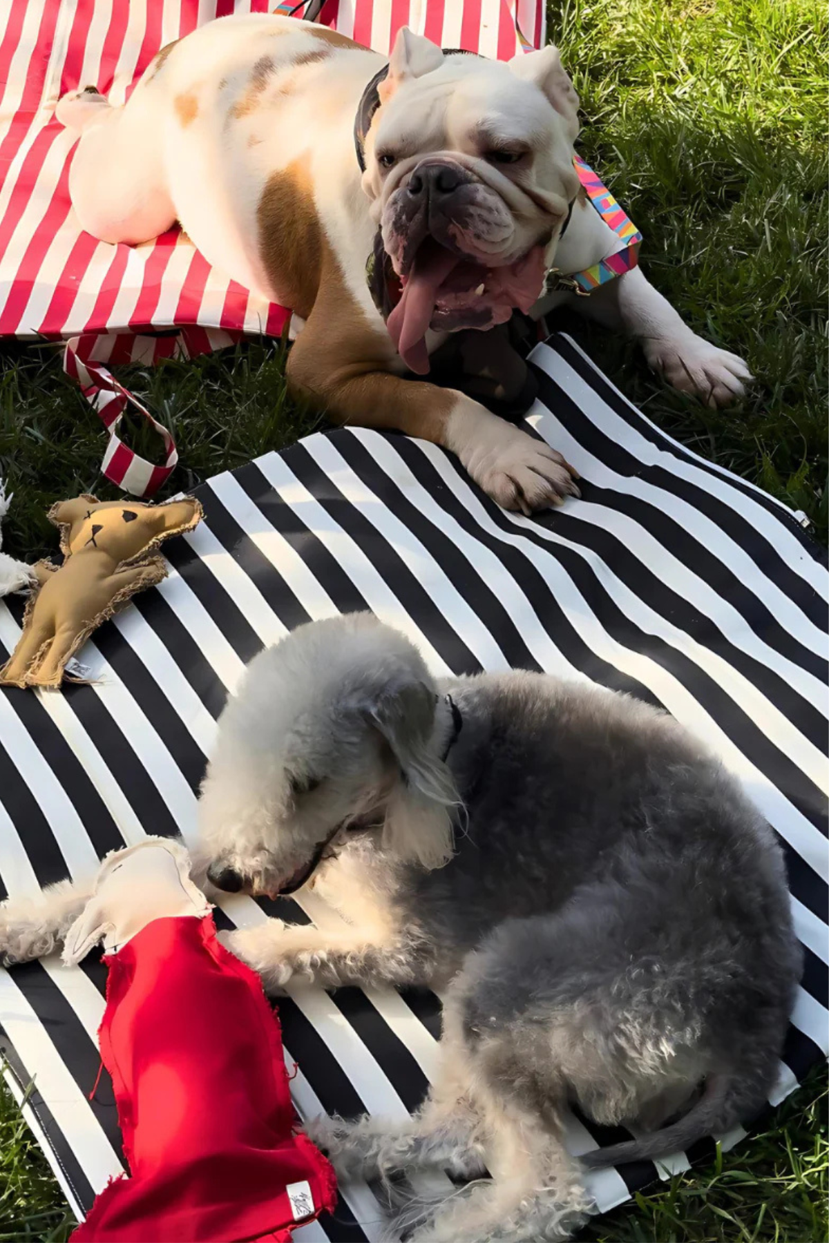 St. Pia Mat-in-a-Bag Çanta + Yer Minderi Black Stripes 