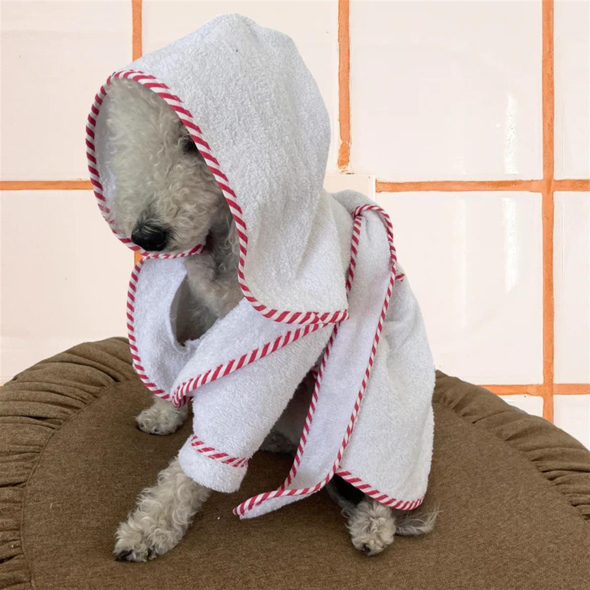 St. Pia Par Avion Bath Robe Köpek Bornozu