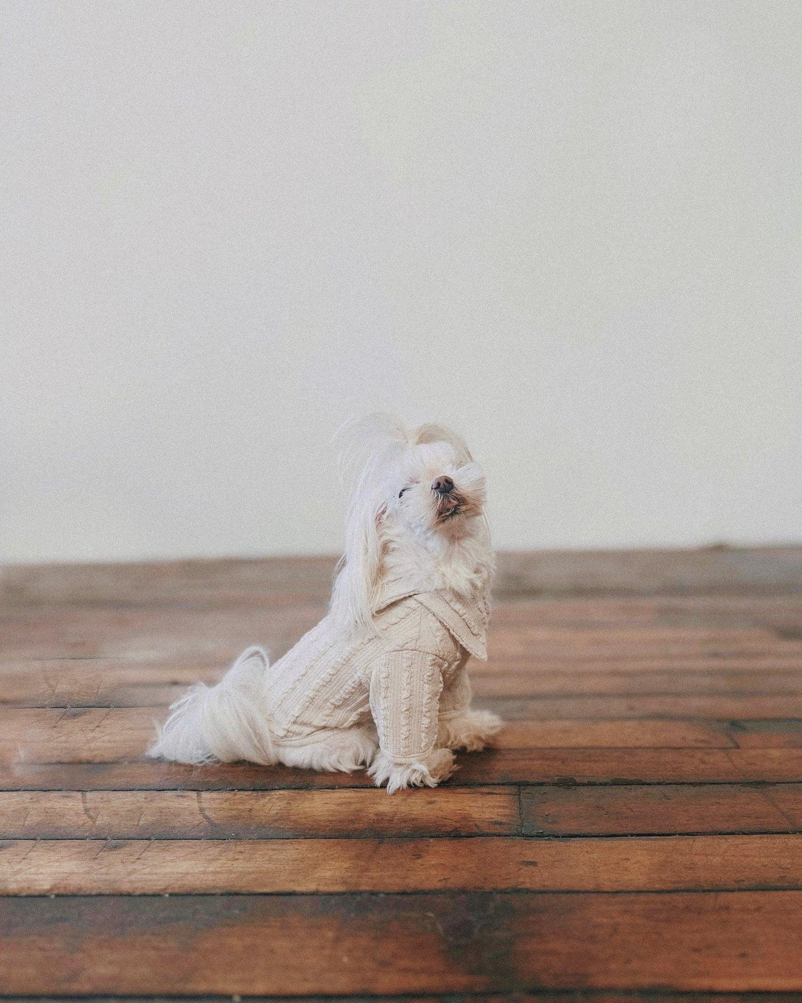 The Little Company Mireille Köpek Kazağı Ivory