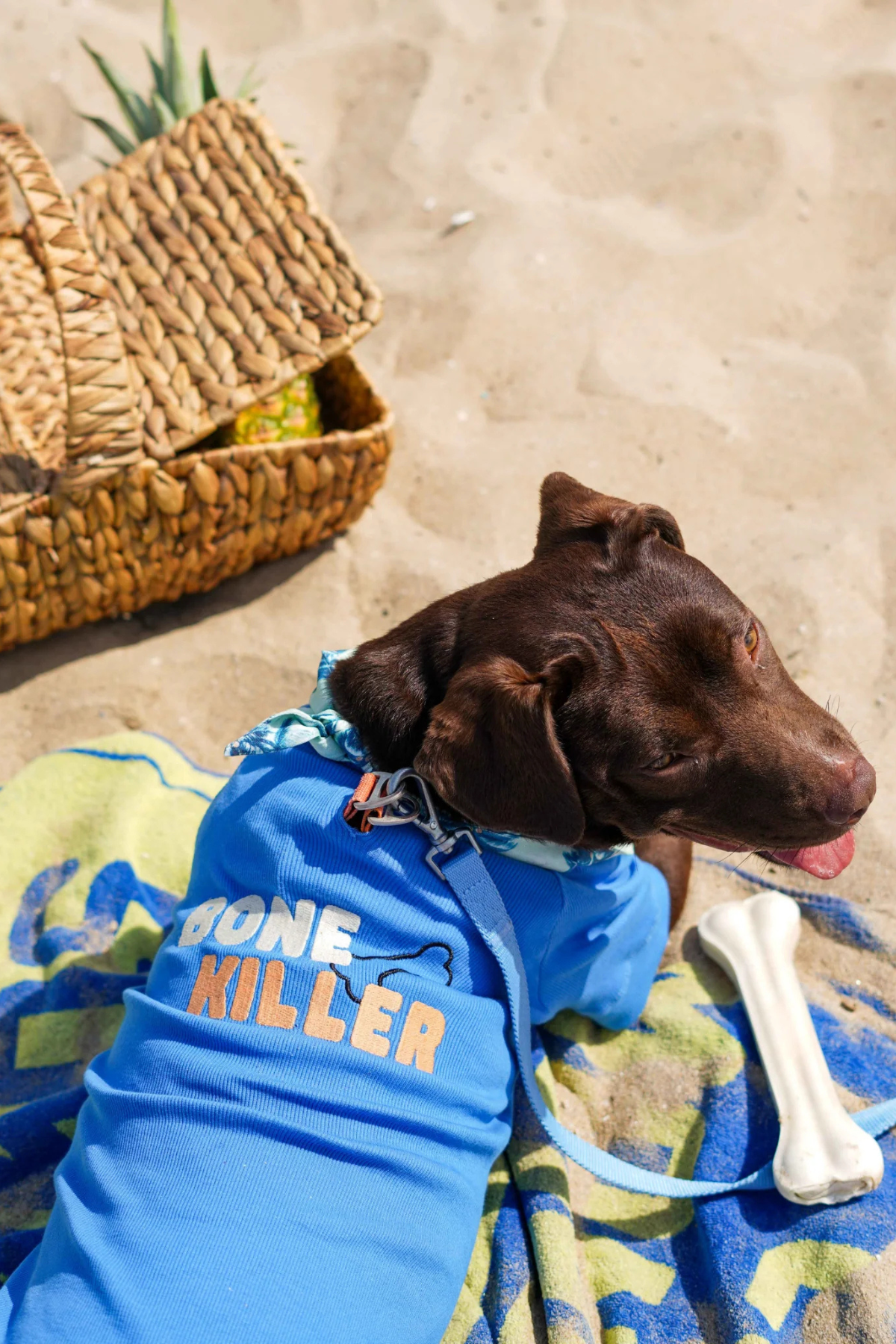 TheGang Tişört Bone Killer Denim Blue 