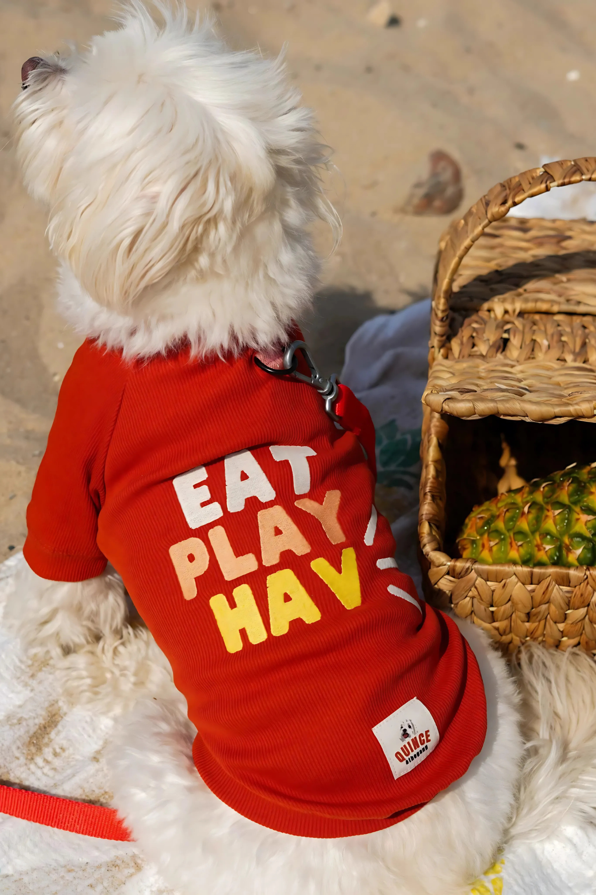 TheGang Tişört Eat Play Hav Puréed Pumpkin