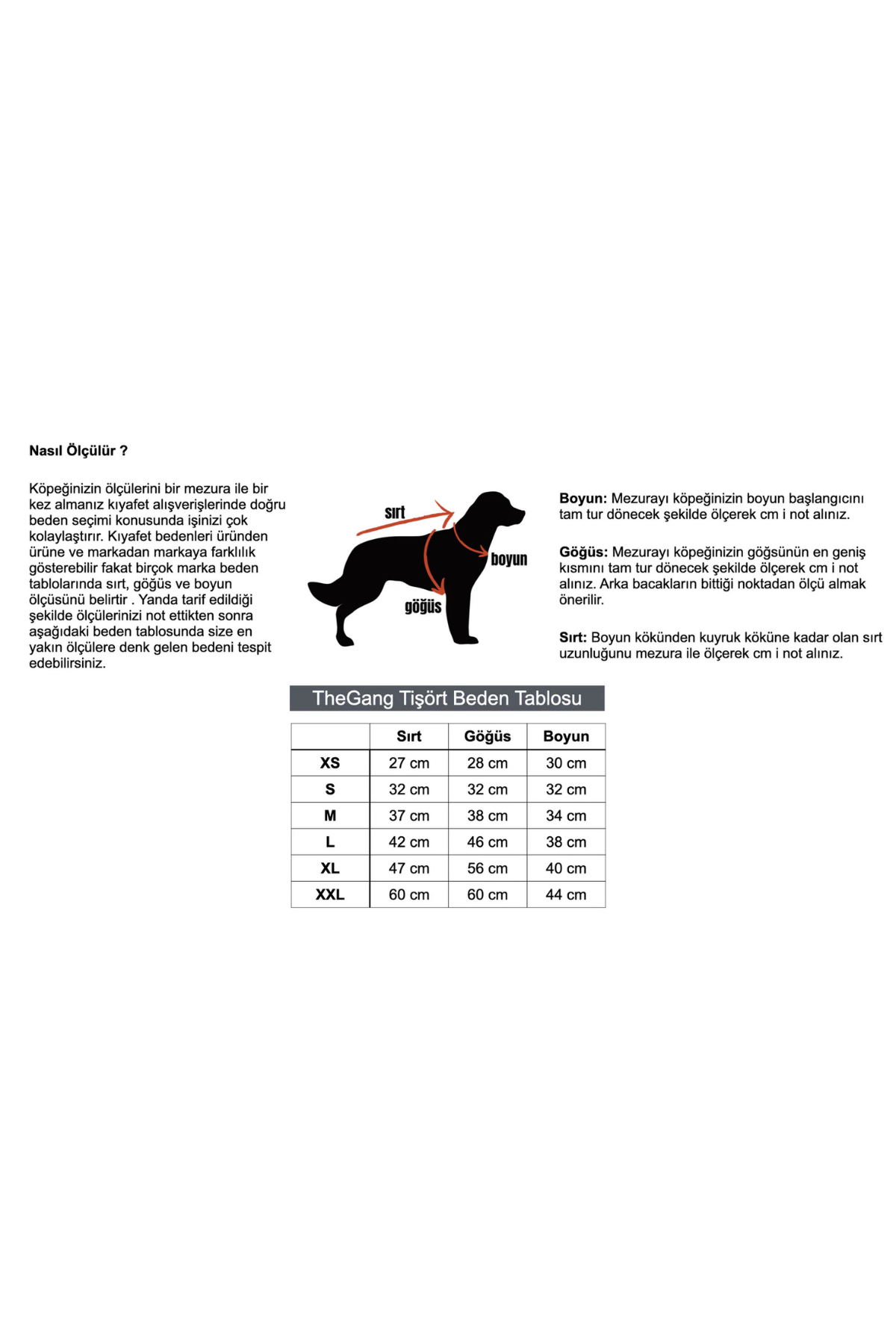 TheGang Tişört Hippie Soul Matcha Green