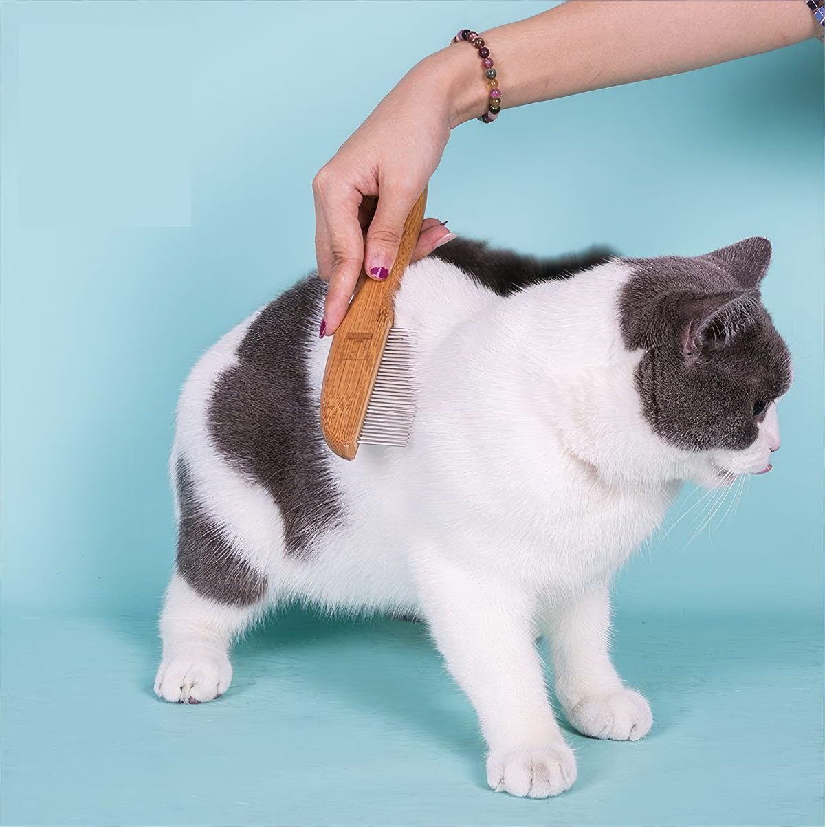 truelove-bambu-orta-uzun-tuylu-kedi-ko-e0e8db.png