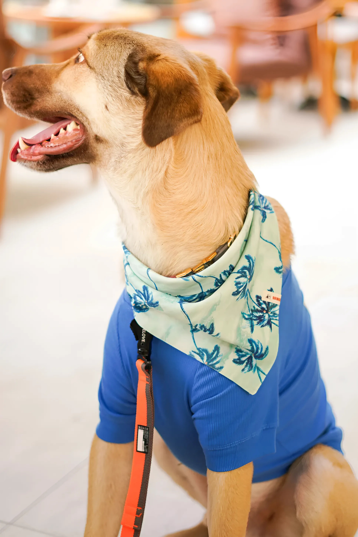 Urban Chic Bandana Sydney