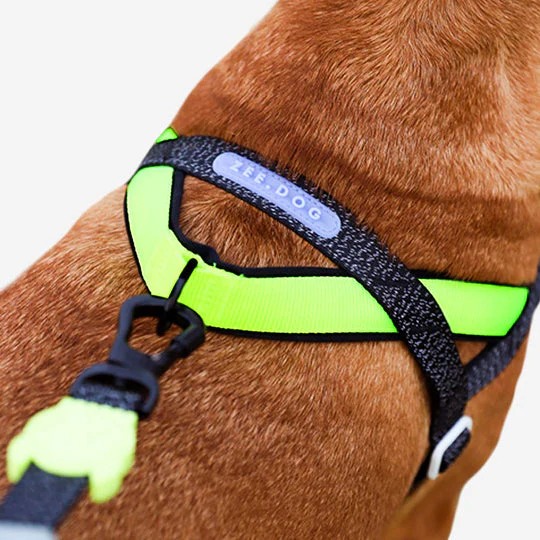 Zee.Dog NOX Softer Walk Köpek Göğüs Tasması