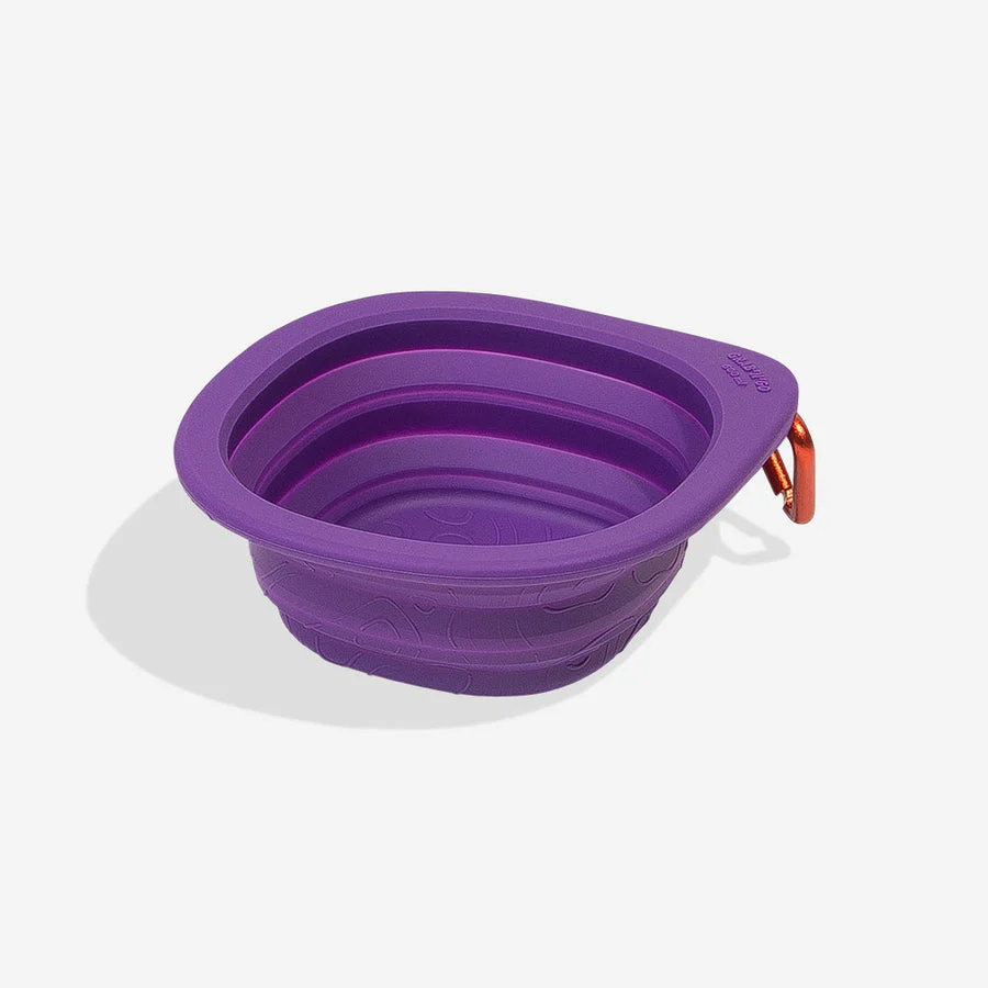 Zee.Dog Go Bowl Peak Folding Food and Water Bowl
