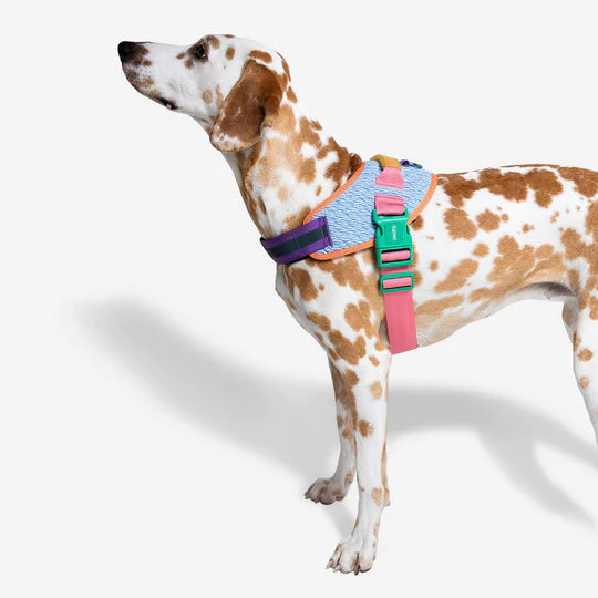 Zee.Dog Galaxy FlyHarness Göğüs Tasması