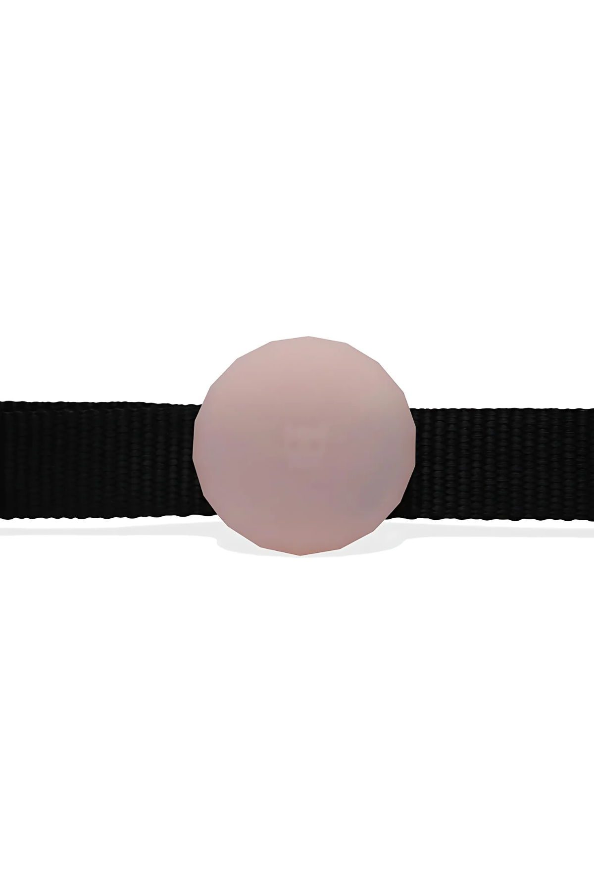 Zee.Dog PINK AIRTAG Kılıfı