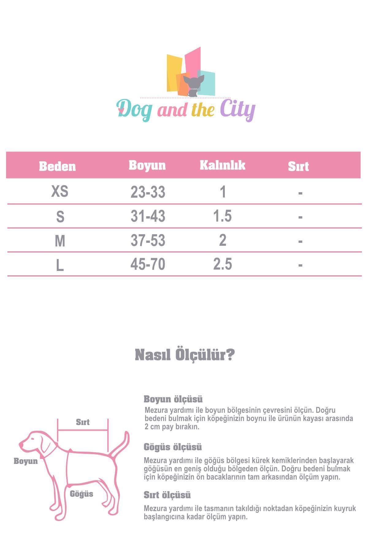 Zee.Dog Fritz Köpek Boyun Tasması